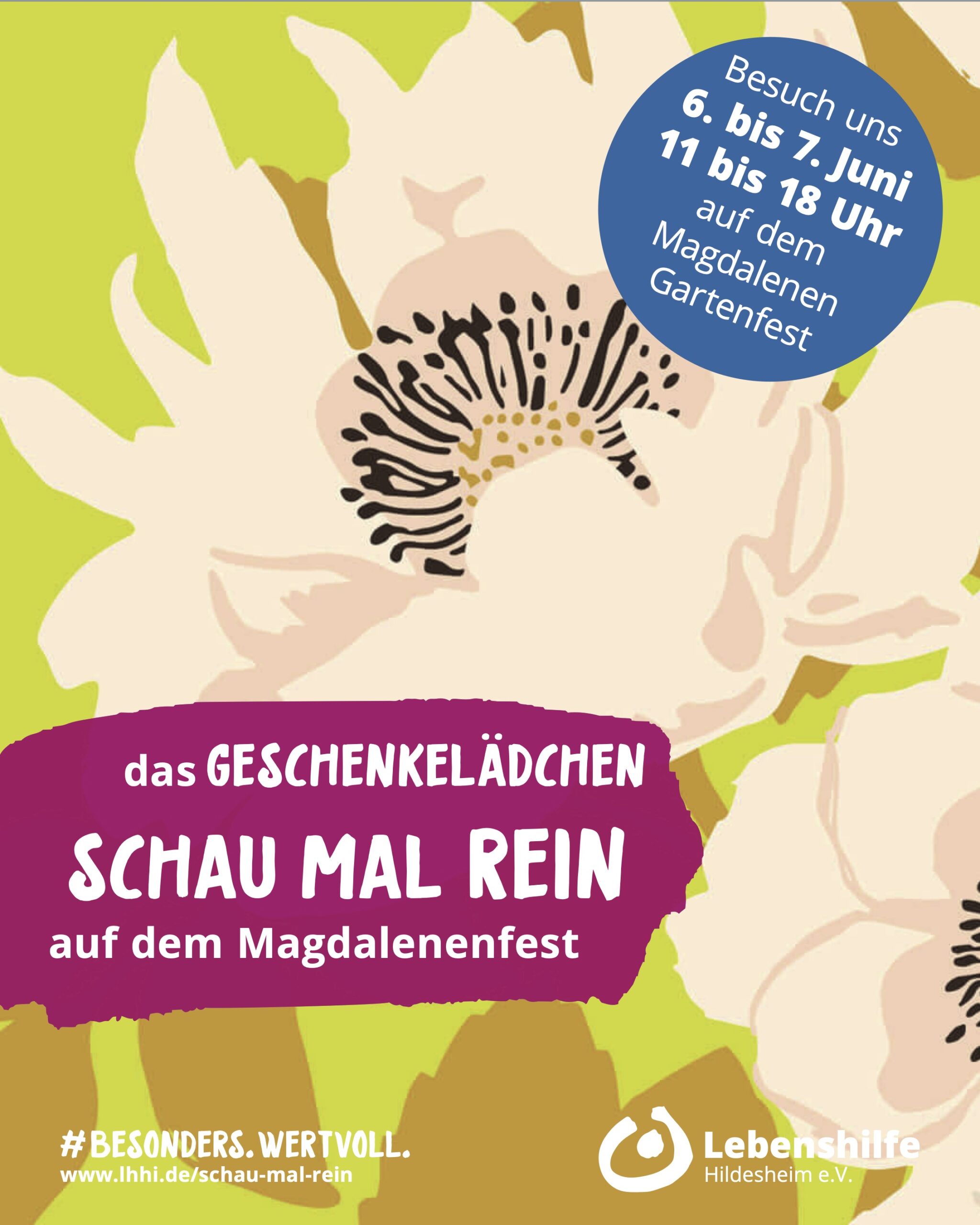 Schau mal rein - das Geschenkelädchen